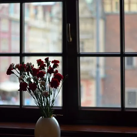 The One بيت شباب