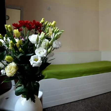 بيت شباب The One فروتسواف