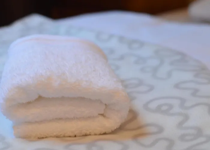 Auberge de jeunesse The One